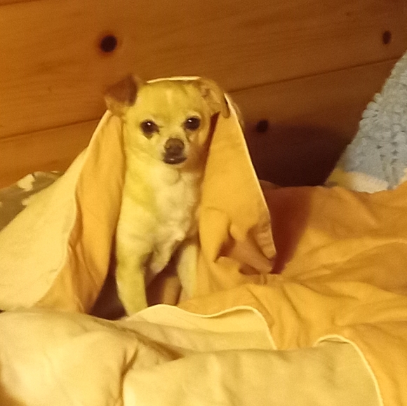 Meet your Posher, Jeanette - Picture 2 of 7